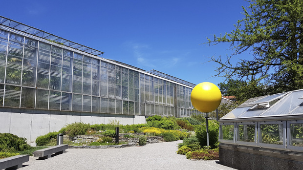 Botanischer Garten Stadtleben In St Gallen Ron Orp