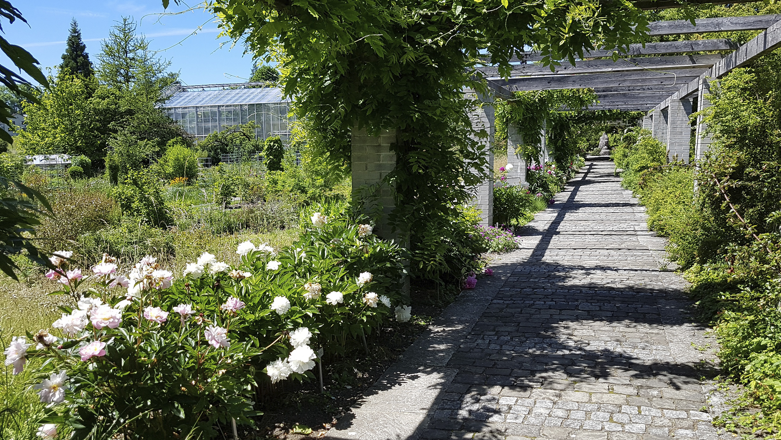 Botanischer Garten Stadtleben In St Gallen Ron Orp