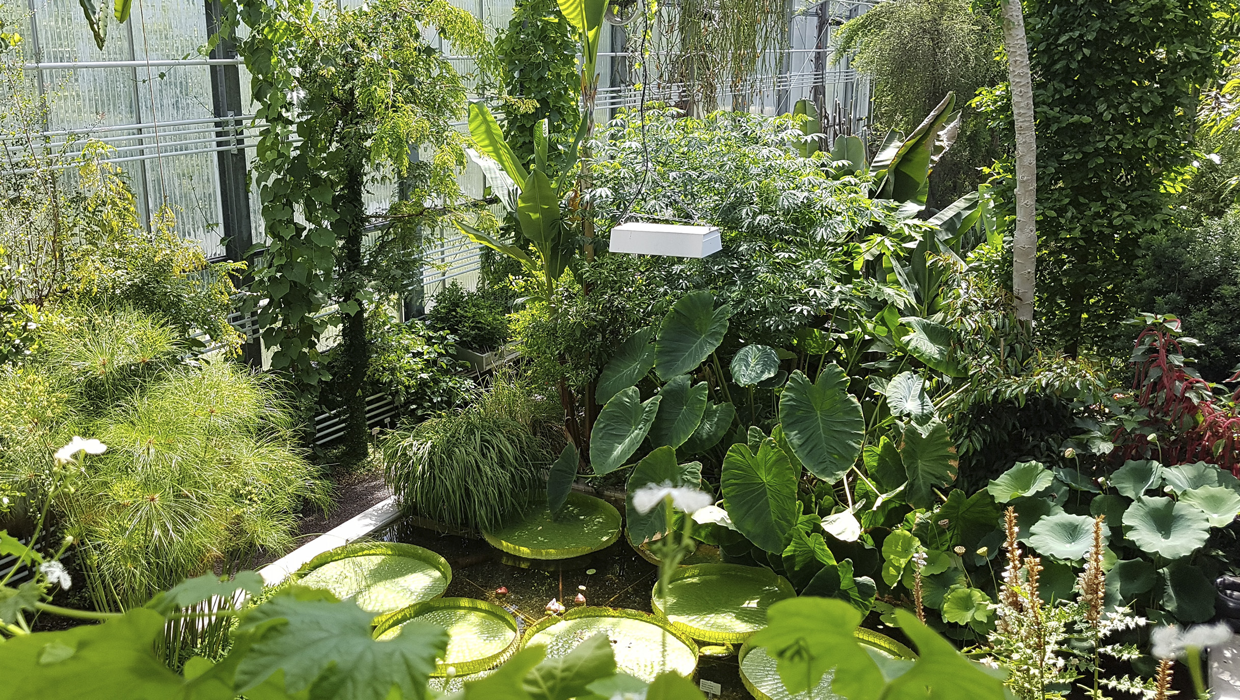 Botanischer Garten Stadtleben In St Gallen Ron Orp